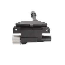 Ignition Coil BOGAP U1511100 OE Ref 3340065G00 BOGAP
