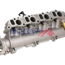 Intake Manifold Module BOGAP W1712100 OE Ref 055206459