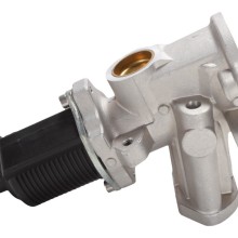 EGR Valve BOGAP W6320117 OE Ref 55206931 BOGAP