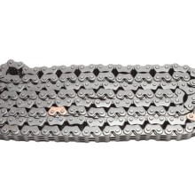 Timing Chain BOGAP Y1310117 OE Ref 243212E300