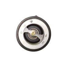 Coolant Thermostat BOGAP Y4245102 OE Ref 255002B000 BOGAP