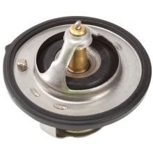 Coolant Thermostat BOGAP Y4245102 OE Ref 255002B000