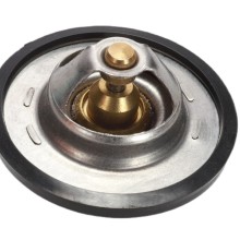 Coolant Thermostat BOGAP Y4245103 OE Ref 255002A100