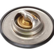 Coolant Thermostat BOGAP Y4245104 OE Ref 255002A000