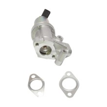 EGR Valve BOGAP Y6320103 OE Ref 284102A120 BOGAP