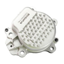 Engine Cooling Water Pump BOGAP Z4232100 OE Ref 161A039035