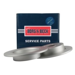 Brake Disc BORG & BECK BBD5665 OE Ref 42431 F4020