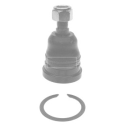 Knuckle Joint BORG & BECK BBJ5238 OE Ref 4330829115