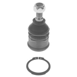 Knuckle Joint BORG & BECK BBJ5371 OE Ref 51220S74E00