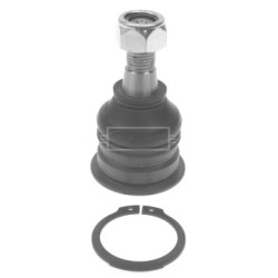 Knuckle Joint BORG & BECK BBJ5494 OE Ref 401602Y411