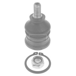 Knuckle Joint BORG & BECK BBJ5664