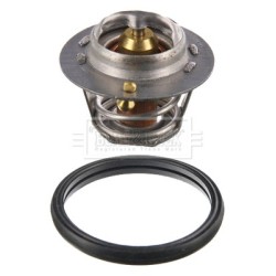 Coolant Thermostat BORG & BECK BBT020