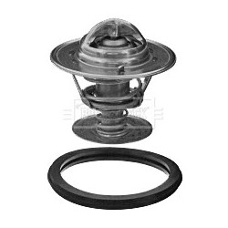 Coolant Thermostat BORG & BECK BBT350 OE Ref 77TF8575A1A