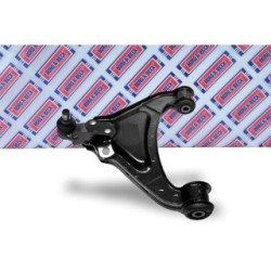Control Trailing Arm BORG & BECK BCA6069 OE Ref RBJ101070 BORG & BECK