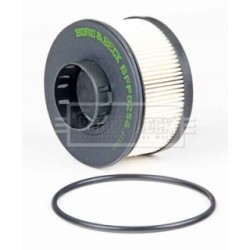 Fuel Filter BORG & BECK BFF8256 OE Ref 98 202 263 80