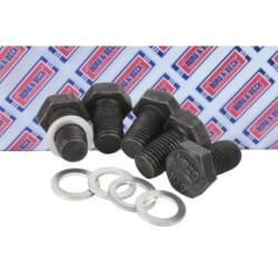 Oil Sump Screw Plug BORG & BECK BPL109