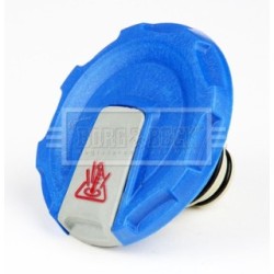 Coolant Tank Cap BORG & BECK BRC162 OE Ref 4M0 121 321J