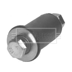 Control Trailing Arm Mounting BORG & BECK BSK6622 OE Ref A2024600319