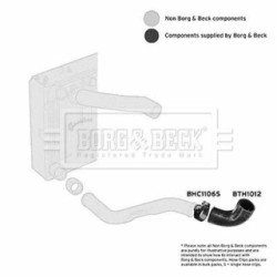 Hose Clip BORG & BECK BTH1012 OE Ref PNH102082