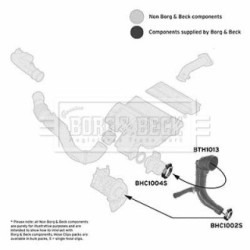 Hose Clip BORG & BECK BTH1013 OE Ref 55189122
