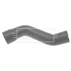 Hose Clip BORG & BECK BTH1034 OE Ref 51832981 BORG & BECK