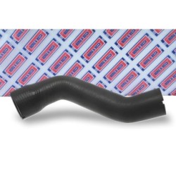 Hose Clip BORG & BECK BTH1034 OE Ref 51832981 BORG & BECK