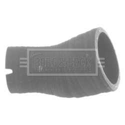 Hose Clip BORG & BECK BTH1054 OE Ref 1359961080 BORG & BECK