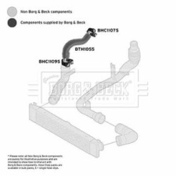 Hose Clip BORG & BECK BTH1055 OE Ref 1350777080