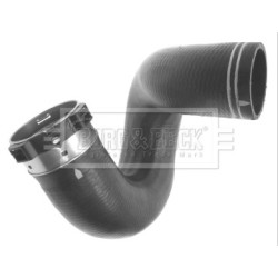 Hose Clip BORG & BECK BTH1074 OE Ref 50517519 BORG & BECK