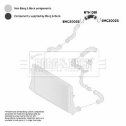 Hose Clip BORG & BECK BTH1081 OE Ref 1K0 145 790 C