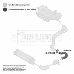 Hose Clip BORG & BECK BTH1216 OE Ref 50530222