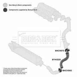 Hose Clip BORG & BECK BTH1220 OE Ref 51964158