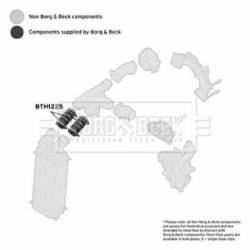 Hose Clip BORG & BECK BTH1225 OE Ref 98 012 806 80