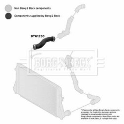 Hose Clip BORG & BECK BTH1230 OE Ref 5N0 145 832 S