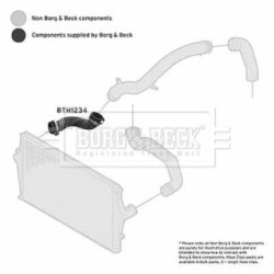 Hose Clip BORG & BECK BTH1234 OE Ref 31261371