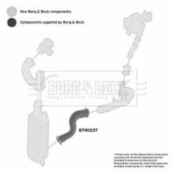 Hose Clip BORG & BECK BTH1237 OE Ref 0382 GS