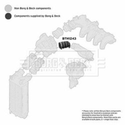 Hose Clip BORG & BECK BTH1243 OE Ref 0382 EN