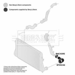 Hose Clip BORG & BECK BTH1246 OE Ref 5N0145834A