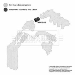 Hose Clip BORG & BECK BTH1248 OE Ref 0382.PZ BORG & BECK