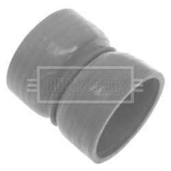Hose Clip BORG & BECK BTH1248 OE Ref 0382.PZ BORG & BECK