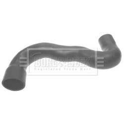 Hose Clip BORG & BECK BTH1265 OE Ref 0382.N4 BORG & BECK