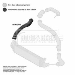 Hose Clip BORG & BECK BTH1295 OE Ref 1252691