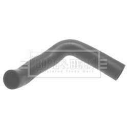 Hose Clip BORG & BECK BTH1307 OE Ref PNH000020 BORG & BECK