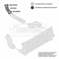 Hose Clip BORG & BECK BTH1310 OE Ref PNH102111
