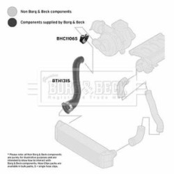 Hose Clip BORG & BECK BTH1315 OE Ref PNH000163