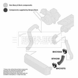 Hose Clip BORG & BECK BTH1318 OE Ref PNH000180