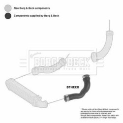 Hose Clip BORG & BECK BTH1331 OE Ref 2115283982