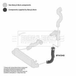 Hose Clip BORG & BECK BTH1340 OE Ref 2035280682