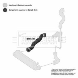 Hose Clip BORG & BECK BTH1341 OE Ref 2035280782