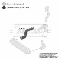 Hose Clip BORG & BECK BTH1343 OE Ref 203 528 34 82